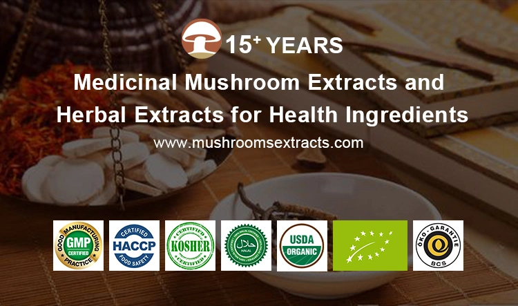 Organic Reishi Mushroom Extract Lion′ S Mane Mushroom Chaga Mushroom Turkey Tail Mushroom Tremella Mushroom Maitake Mushroom Extract