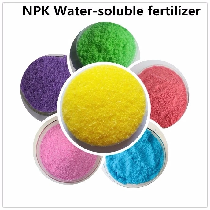 Slow Release NPK Fertilizer Acid Humic Amino Acid Shiny Granule