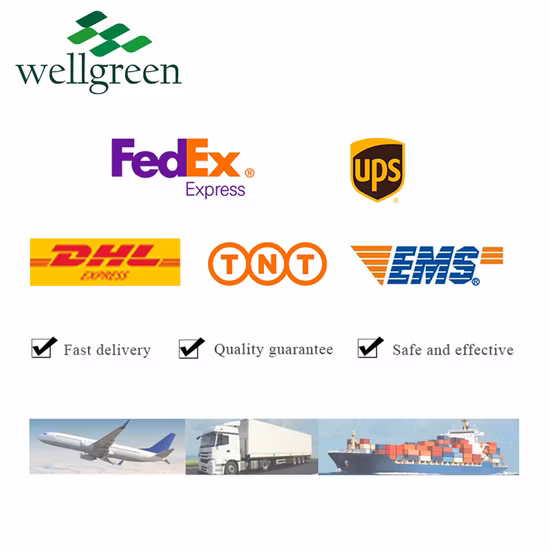 Estratto di polisaccaride Hericium Erinaceus per uso alimentare, estratto di fungo criniera di leone